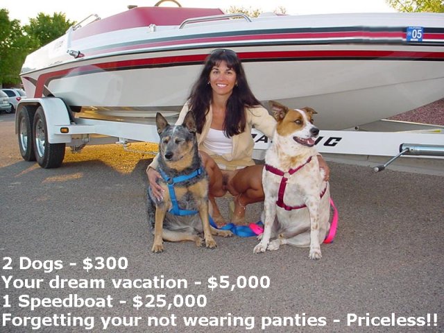 2_priceless_dogs