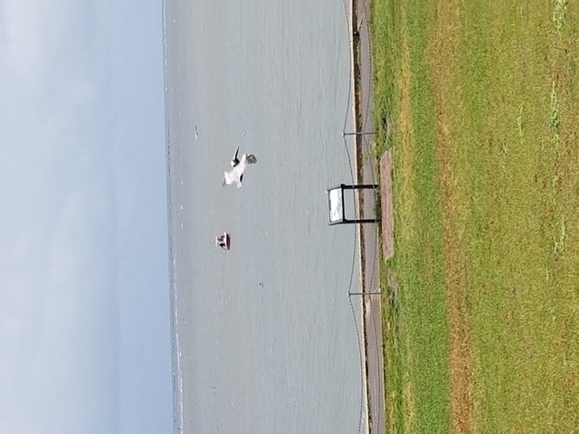 20180518_141045.jpg