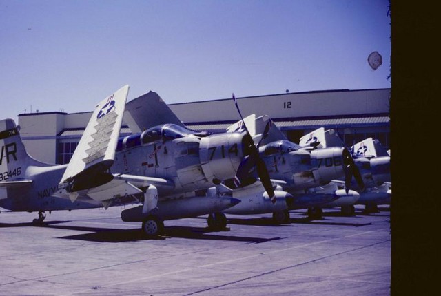 56622882_Skyraider5.jpg